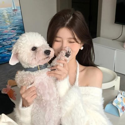 追凶双雄