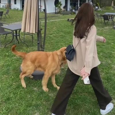 爱情碰碰撞